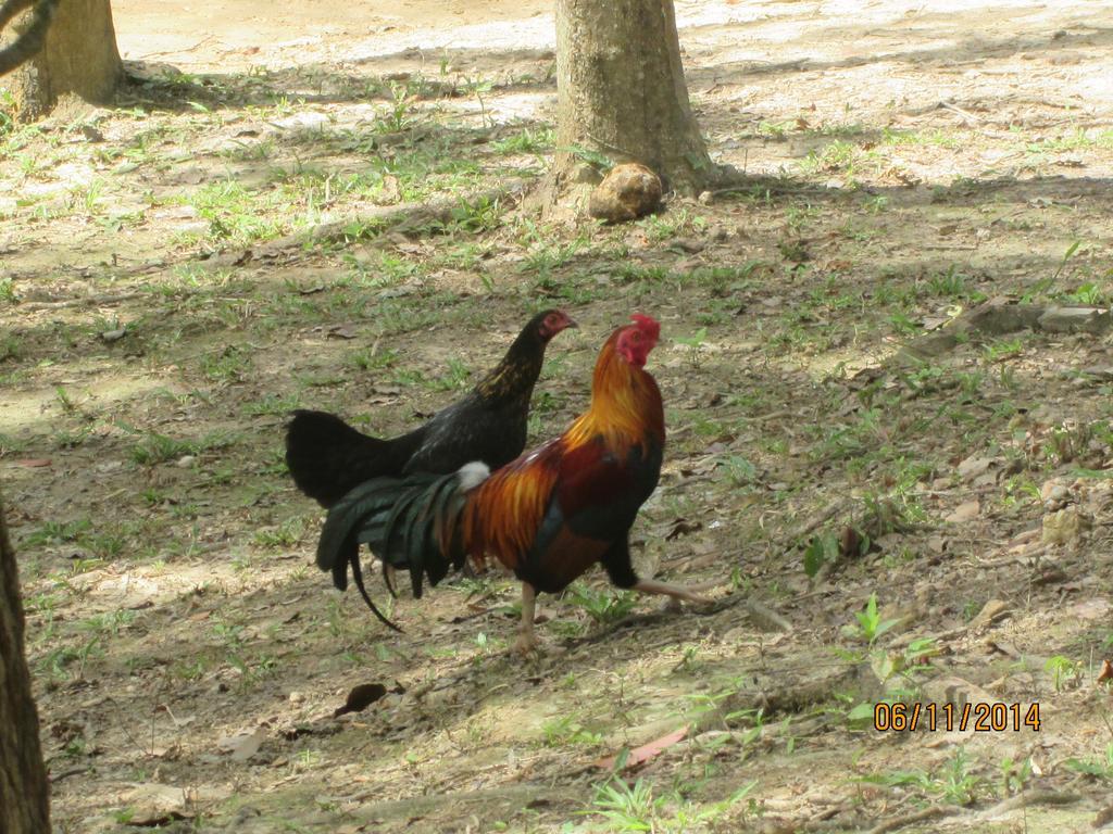Lanta Maikeaw Bungalow Ko Lanta エクステリア 写真